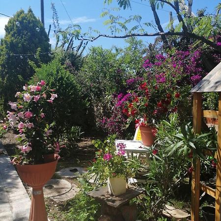Secret Garden Villa Giovinazzo Kültér fotó
